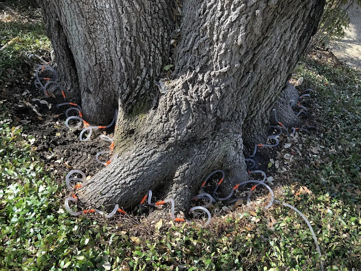 Detailed Shrub and Hedge Trimming job site in Coburn